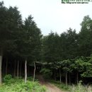 청풍원휴게소 이미지