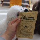 도그도그 | 강아지 화식 그레인프리 사료 인섹트 도그 후기