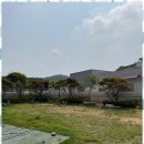 댕댕이의 하루 이미지