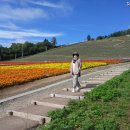 국철농장 이미지