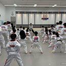 키즈태권도장 이미지