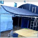 포에버농장 이미지