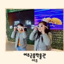 농림축산검역본부호남지역 | 여주곤충박물관 다양한 볼거리 체험이 있는 곳