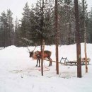 산타클로스안경 이미지