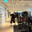 레디 바디 이미지