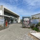 하늘플라워 | 화사한 꽃밭 속 바다뷰 카페 수퍼플라워 후기 / 제주 구좌