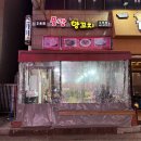 풍광 | 안산 고잔동 맛집 양꼬치 맛있는곳 추천 풍광양꼬치 후기