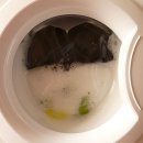 태양세탁 이미지