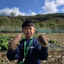 꿀참나무숲 유치원 | 우리 아이 3년 숲유치원 리뷰 동남지구유치원 숲유치원 청주유치원 꿀참나무숲유치원