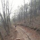 산속에아침 이미지