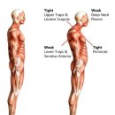 스마트짐 PT&필라테스 이미지