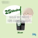 분당-19 | [임신일기#19] 임신 25주 임신성 당뇨검사 후기 (분당제일여성병원)