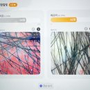 동일포항점 | 포항 모생떼 헤드스파 두피분석 전후 관리 후기