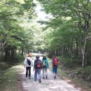 보물찾기 - 마포구 월드컵북로 230 | 보물찾기