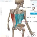 고포잇짐 이미지