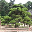 주록계곡민박 이미지