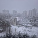 궁중오메기떡 | 선물추천 제주도 궁중오메기떡 택배배송 만족후기