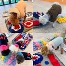 놀러오개 불로점 이미지