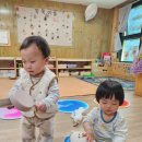 4월13일(월)-봄새싹을 관찰해요 이미지