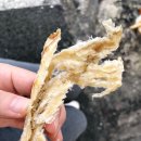 강남해안로 | 통영 전복김밥부터 제주 아살람 레스토랑 등 사진첩 속 추억 맛집 후기