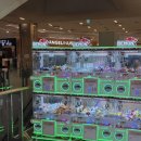 플레이키링가챠 | 김포공항 롯데몰 플레이 그라운드 가챠존 후기