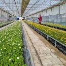 함양군농업기술센터 이미지