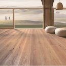 대게마루 이미지