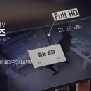 국제사 이미지
