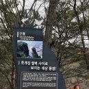영월-6