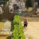 진영대흥초등학교 이미지