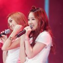 탱탱 이미지