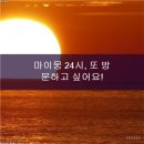 부산강아지분양 마이뭉 24시 네이버블로그