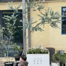 어방어린이집 | 육아일기(450-500) 짜증 득템 개인기 득템