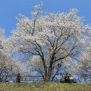 양평체육공원길 이미지