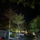 금옥골마을 | 춘천캠핑 자연 속에서의 완벽한 힐링, 금옥골숲속작은마을 후기