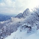 눈꽃과 억새가 함께하는 월출산 산행 & 천불천탑의 수수께끼가 가득한 운주사 여행.2/7(일) 이미지