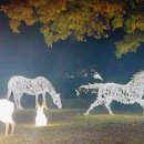 도화공원 공영주차장 이미지