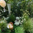 디테일수원지점 | 수원 용인 소규모돌잔치 앙레브 내돈내산 후기