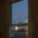 신라스테이 역삼 이미지