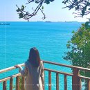 암남공원로 | 부산 송도 가볼만한 곳 해상 케이블카 송도 스카이파크, 암남공원