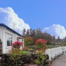 봄빛 코티지 이미지