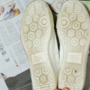 레이로우 이미지