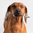 대병돼지국밥 | 5월 정리