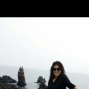 (주)다정한바다