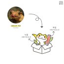 렙타일서플라이코리아