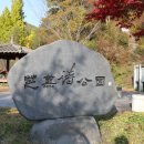 문향영양 이미지