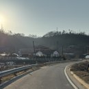 세라의 작은정원 이미지