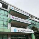 [실천학교]직업상담사 2급 자격증 대비반 | 울산여성인력개발센터 초보도 쉽게 따는 엑셀자격증 DIAT 디지털정보활용능력듣고 있어요