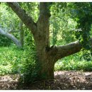 덕산농원 이미지