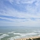 장약국 | 란조, 핑크성당, 한시장약국쇼핑, 다낭 롯데마트 쇼핑...다낭 에어프레미아 좌석 후기, 다낭 자유여행